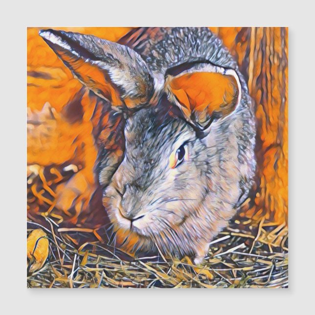 smartmix animal-lapin (Devant)