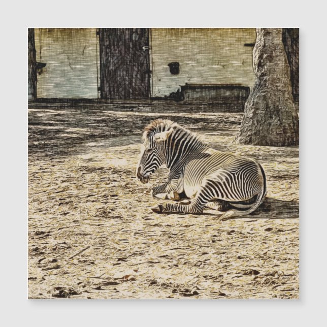 smartmix animal zebra (Devant)