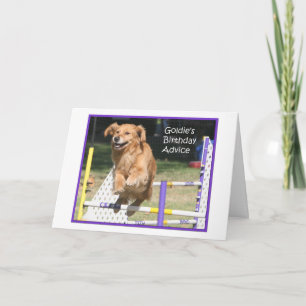 'Smile' Golden Retriever Agility Carte Anniversair