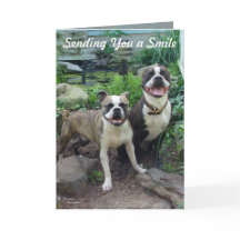 Smile Penser à vous Mlle Carte