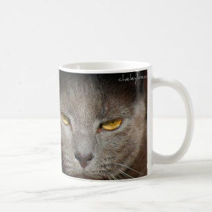 Smokey la tasse de chat