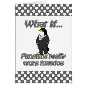 smokings de pingouin
