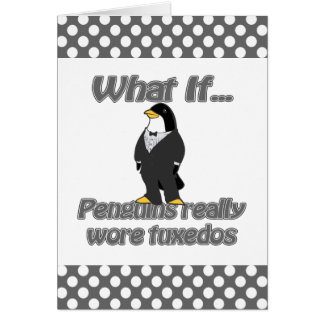 smokings de pingouin