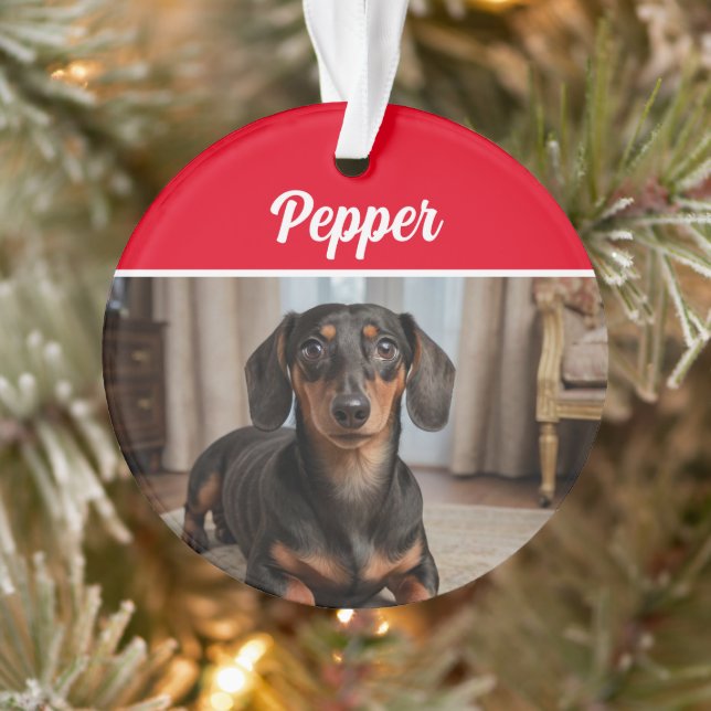 Smooth Dachshund with Name and Photo Christmas (Arbre)