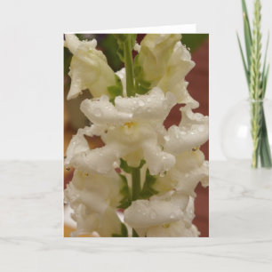 Snapdragon dans le carte pour notes de pluie