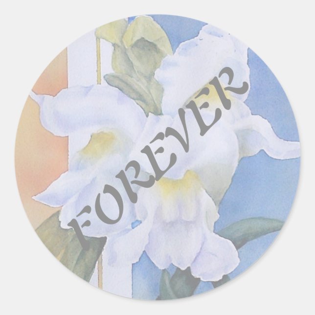 SNAPDRAGONS BLANCS STICKERS MARITIMES (Devant)