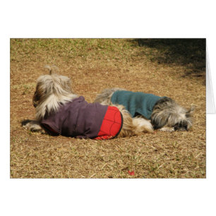 Snoozing à Nong Khai