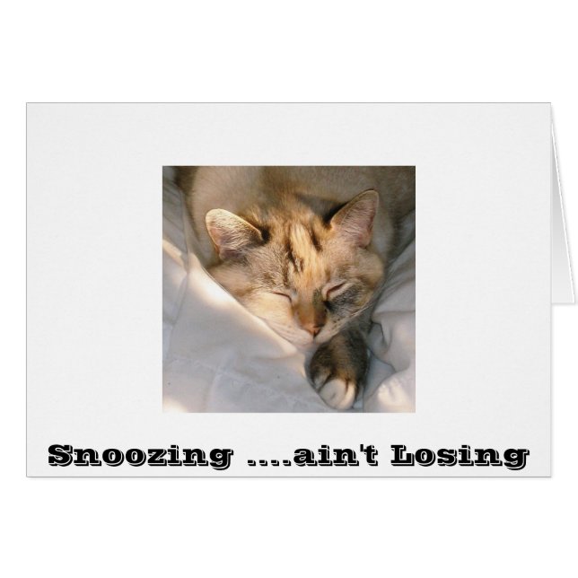 Snoozing ... ne perd pas (Devant Horizontal)