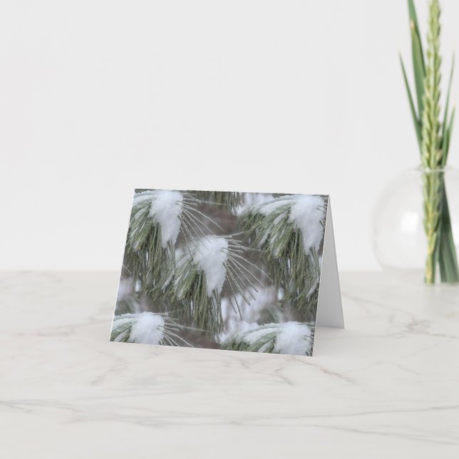 Snow And Ice Winter Nature Photography  (Devant)