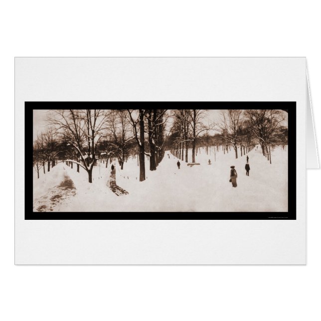 Snow Boston Common, MA Photo 1904 (Devant horizontal)