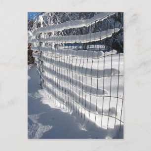 Snow Fence ~ Carte postale