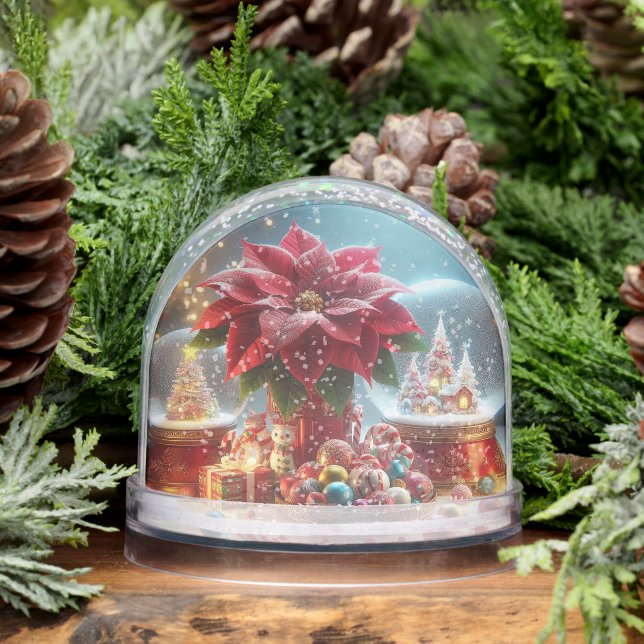 Snow Globes In  (Hiver)