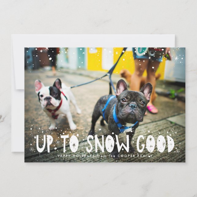 Snow Good | Carte de Noël pour animaux de compagni (Devant)