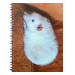 Snowball White Rat Carnet