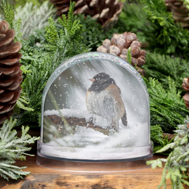 Snowbird Snow Globe (Hiver)