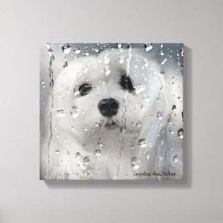 Snowdrop, toile maltaise Imprimer