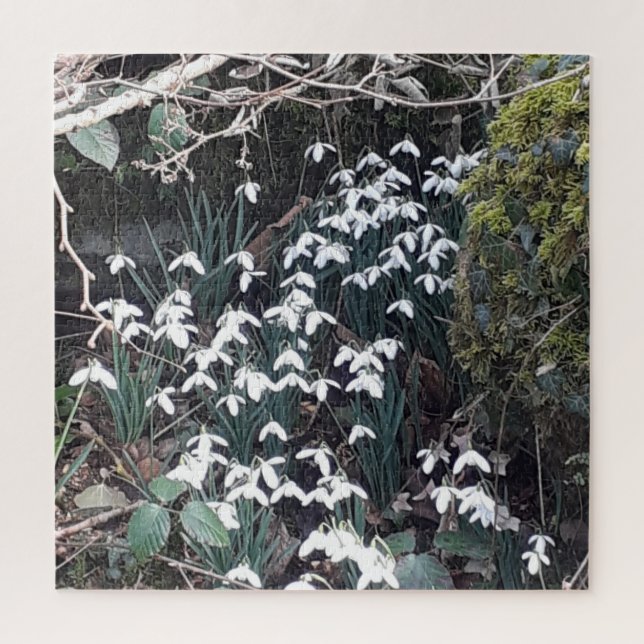 Snowdrops de printemps Jigsaw Puzzle (Vertical)