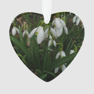 Snowdrops I