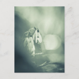 Snowdrops Nature Photo Carte postale