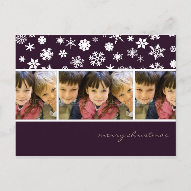 Snowflakes à la prune de sucre :: Carte postale de (Devant)
