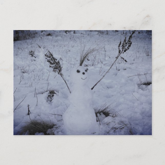 Snowman Happy Face Photo Carte postale (Devant)