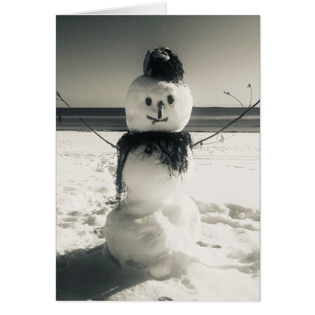 snowshore (Devant)
