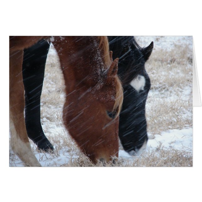 Snowy Eats (Devant horizontal)