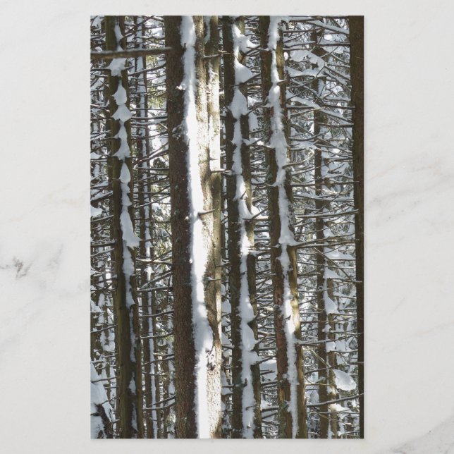 Snowy Fir Tree (Devant)