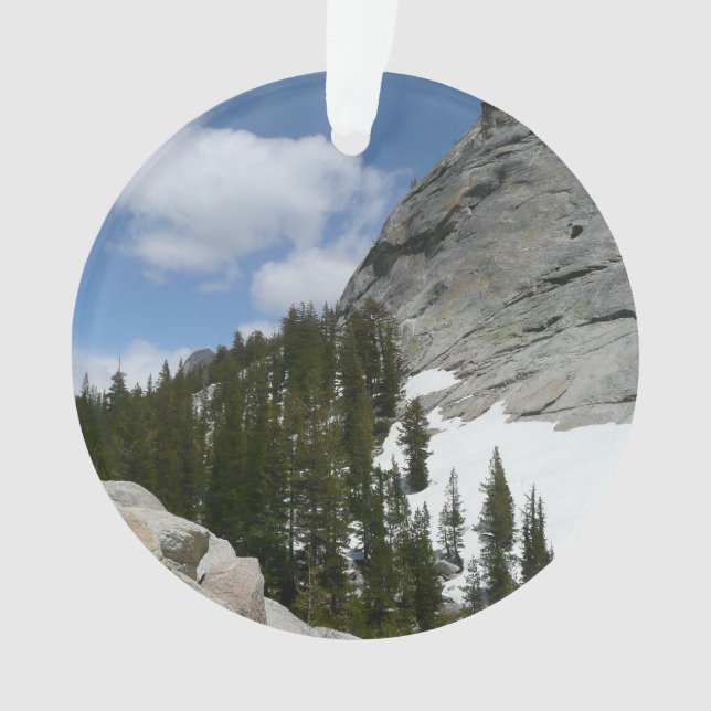 Snowy Granite Domes II Parc national de Yosemite (devant)