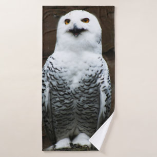 Snowy Owl btcn