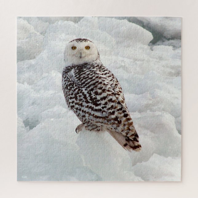 Snowy Owl puzzle (Vertical)