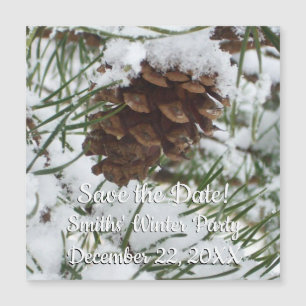 Snowy Pine Cone I