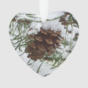 Snowy Pine Cone I