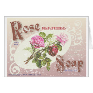 Soap rose en détresse