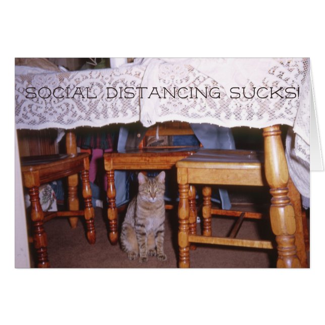 Social distancing Cat Under a Kitchen Table (Devant horizontal)