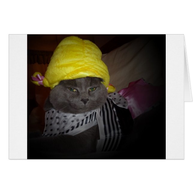 Sock Hop Kitty (Devant horizontal)