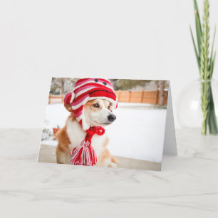Sock Monkey Casquette Corgi carte de voeux vierge