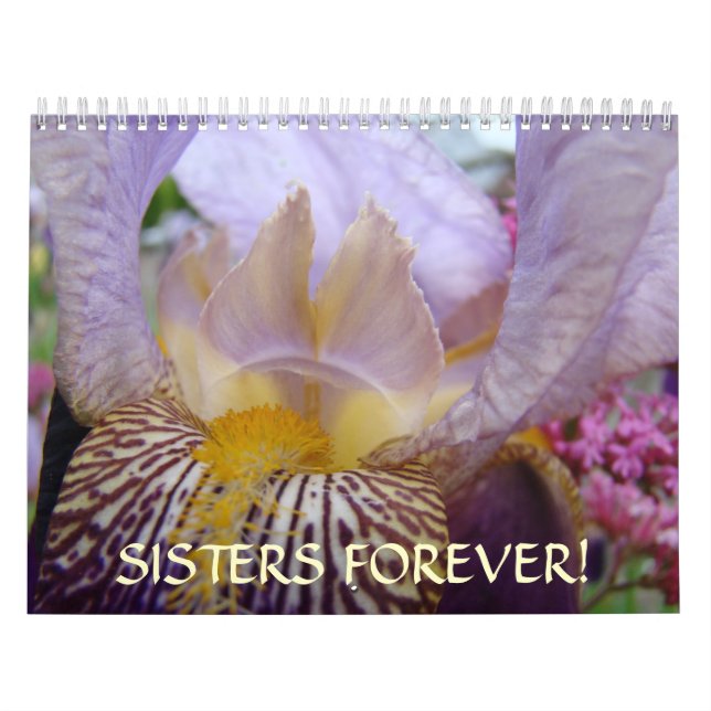SŒURS POUR TOUJOURS ! Calendrier Iris Cadeaux de N (Protection)