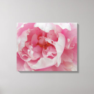 Soft Pink Peony Elegant Photo sur toile