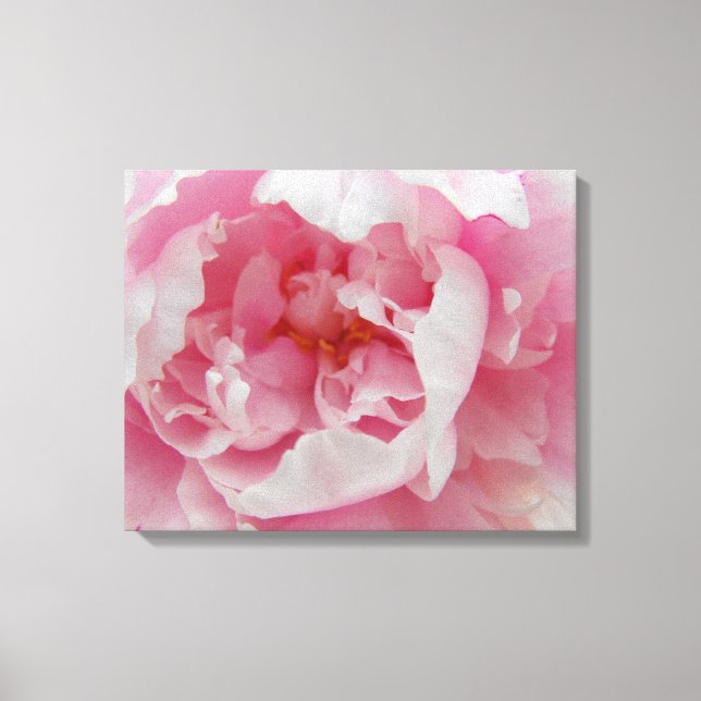 Soft Pink Peony Elegant Photo sur toile (Recto)