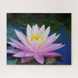 Soft Pink Waterlily Jigsaw Puzzle