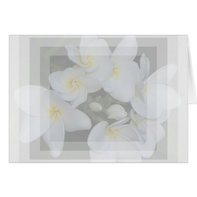 soft&sweet (Devant horizontal)