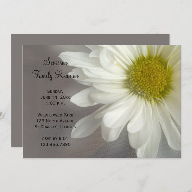 Soft White Daisy Family Reunion Invitation (Devant / Derrière)