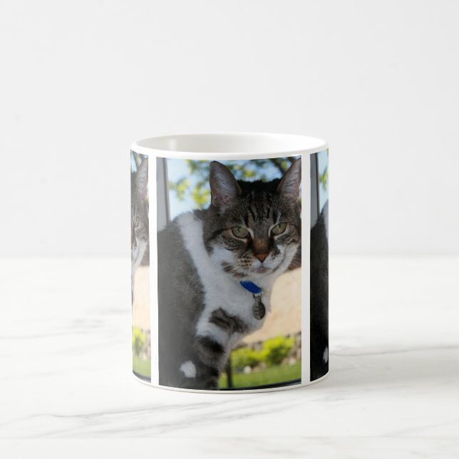 Softy Tabby Chat Mug (Centre)
