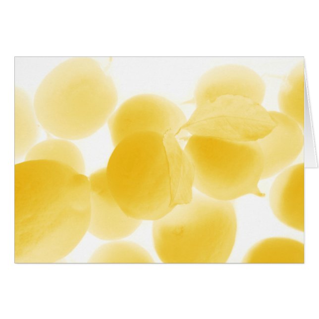 sogno di limone (Devant horizontal)