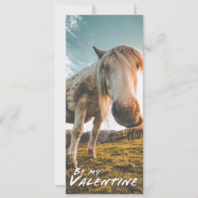 Sois ma Saint-Valentin avec cheval regardant (Devant)