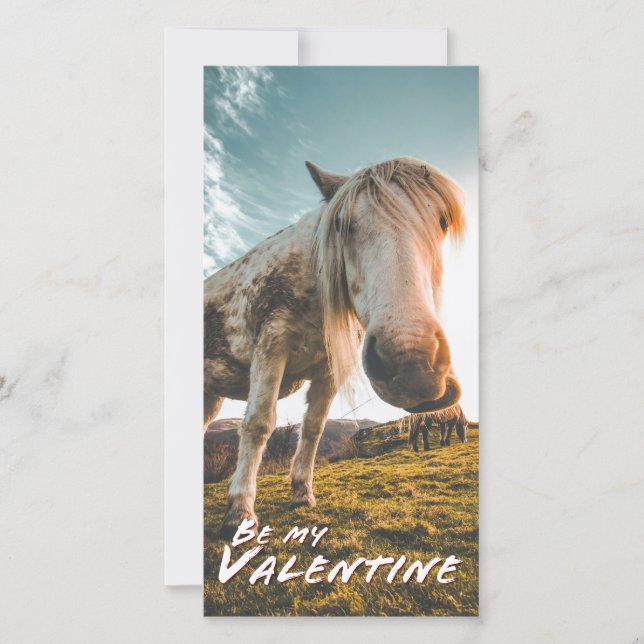 Sois ma Saint-Valentin avec cheval regardant (Devant)