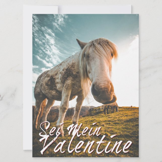 Sois mon Valentin avec cheval qui regarde V2.0 (Devant)
