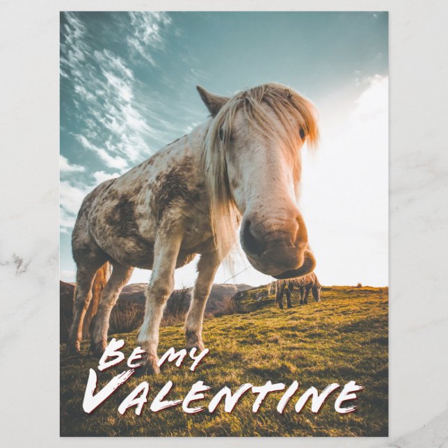 Sois mon Valentin avec cheval regardant (Devant)