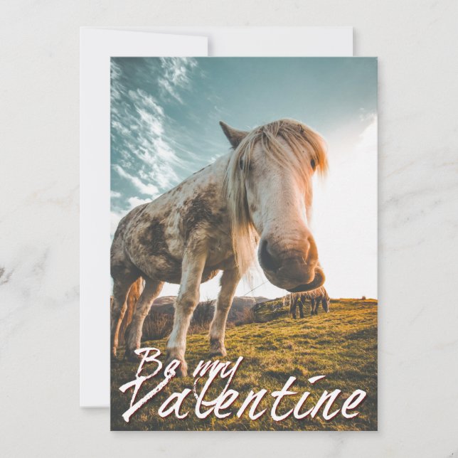 Sois mon Valentin avec Horse V2.0 qui regarde (Devant)